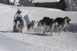 Kandersteg 2013